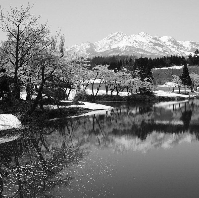 c0229384_21513069.jpg