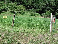 ７月22日の田んぼ（月光原小・西根小）_d0247484_15513467.jpg