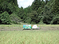 9月8日の田んぼ（月光原小・西根小）_d0247484_1826739.jpg