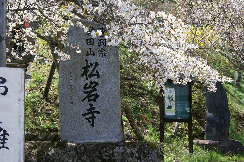 松岩寺の山桜　高萩市_b0183886_23345086.jpg