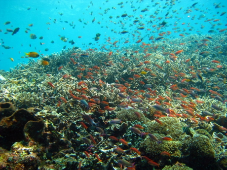 d0194191_1912377.png