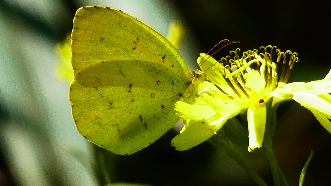 a0152692_2062317.jpg