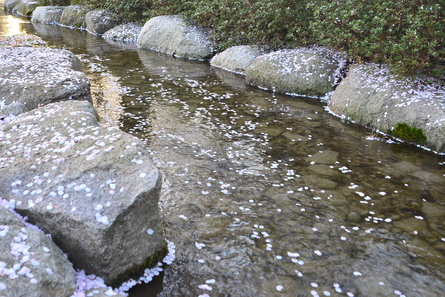 f0082592_21334339.jpg