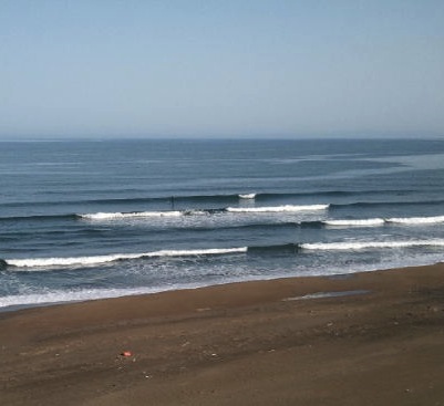 a0079098_19555945.jpg