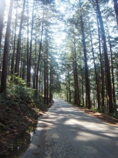 b0124999_93238.jpg