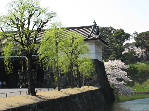 桜田門＆桜・・・３_c0075701_1338558.jpg