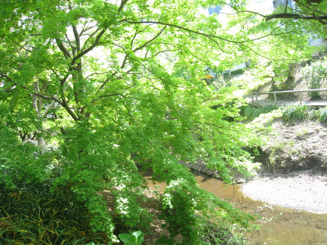 御殿場高原ビール_c0212604_13501486.jpg