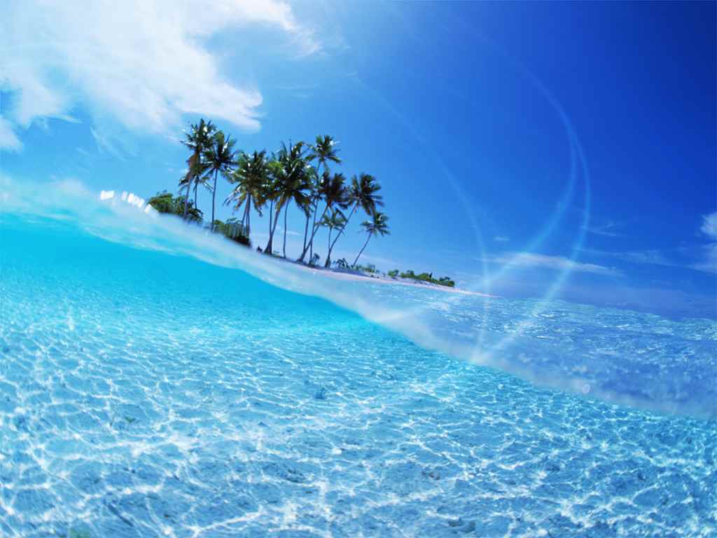 基礎プロジェクト 河川 流域環境研究室 学生部屋