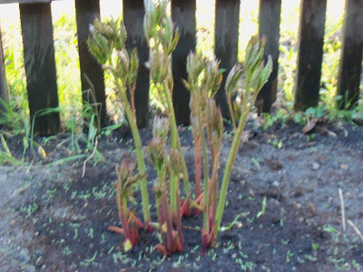 f0154805_21321849.jpg