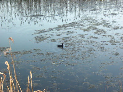 f0154805_21333099.jpg