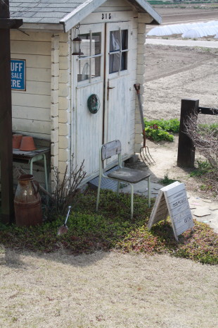 b0129008_15411647.jpg
