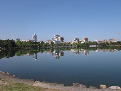 c0178009_1003941.jpg