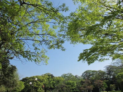 c0178009_9582035.jpg
