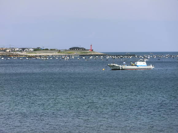 d0237309_22244328.jpg