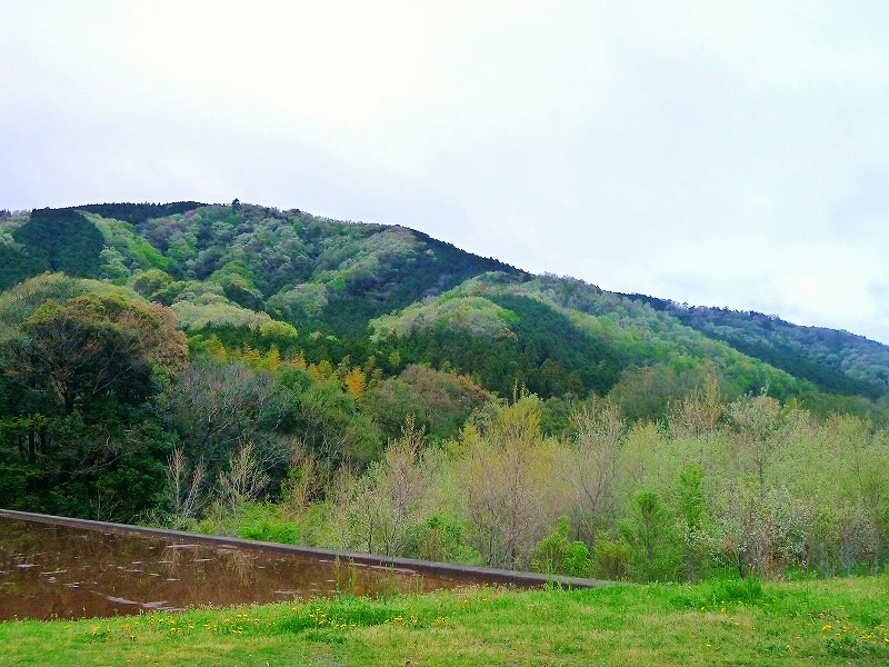 f0182513_23594841.jpg