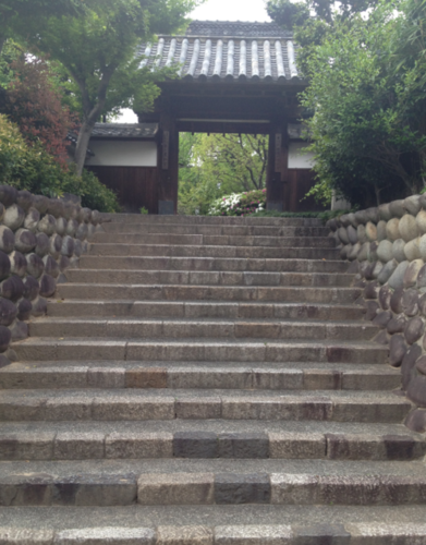 師範披露_b0220318_1949273.png