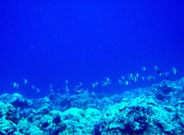 許せな~い(怒)_a0043520_21195623.jpg