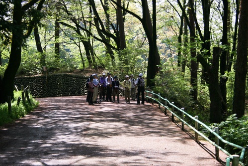 f0059321_16575.jpg