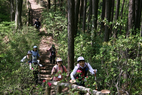 f0059321_1672175.jpg