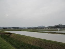 f0147922_19103799.jpg