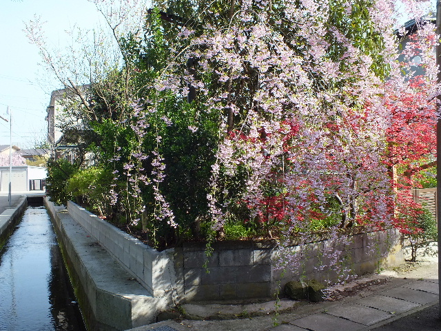 c0141223_13361725.jpg