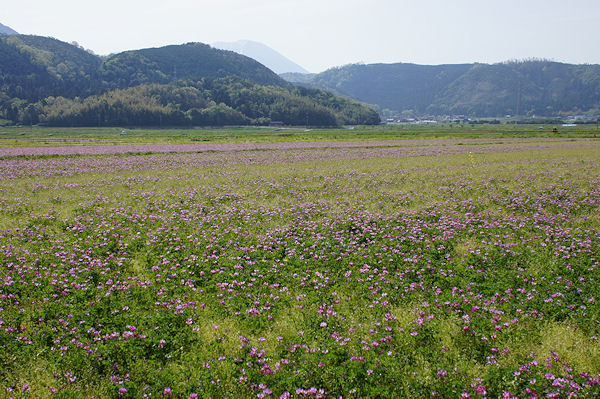 f0007926_11253693.jpg