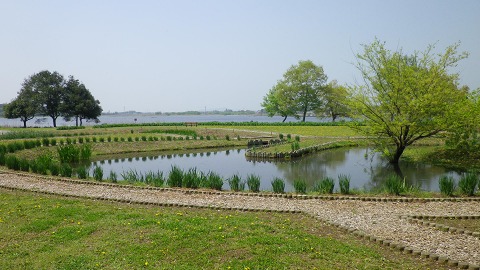 e0202031_23245759.jpg