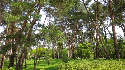 e0202031_2326752.jpg