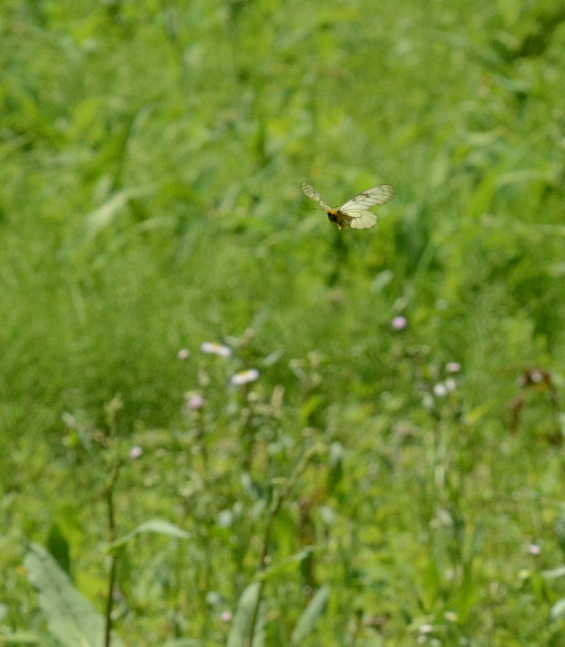a0126632_19185892.jpg