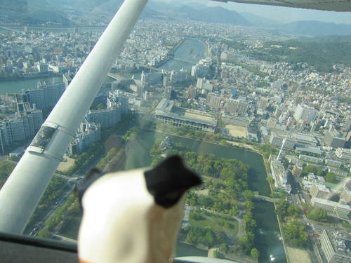 お空を飛びました。_b0197533_2383475.jpg