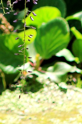 c0118235_22153196.jpg
