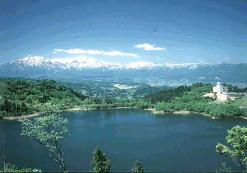 f0131535_2029137.gif