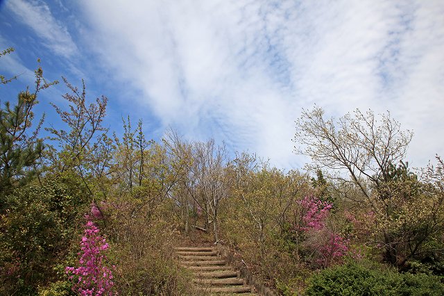 a0242438_19125355.jpg