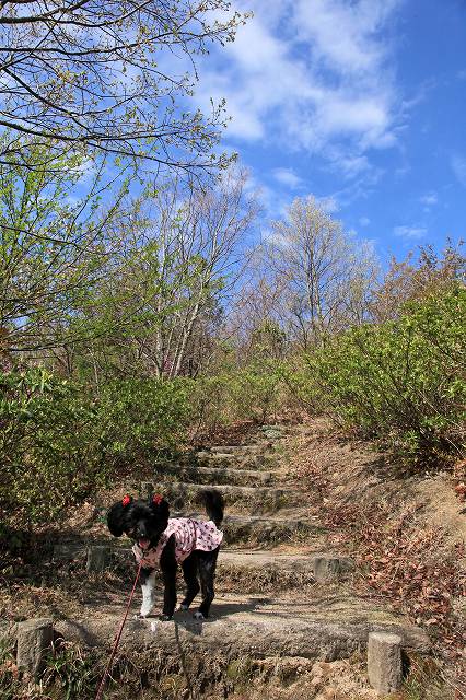 a0242438_198386.jpg