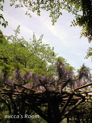 b0245038_1540061.jpg