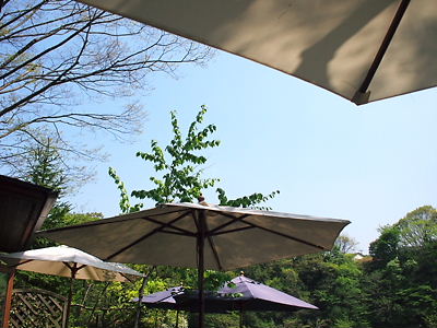 e0022839_2039518.jpg