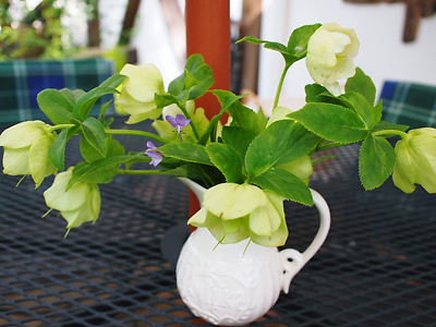 e0022839_20401499.jpg