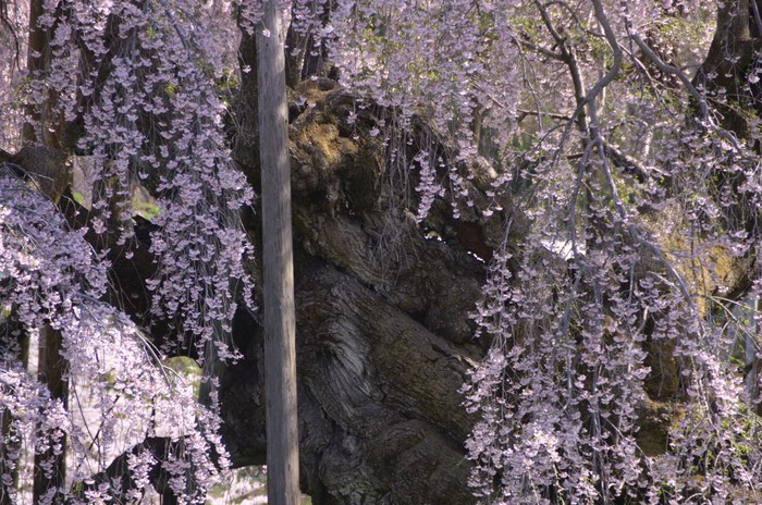 c0202242_20584823.jpg