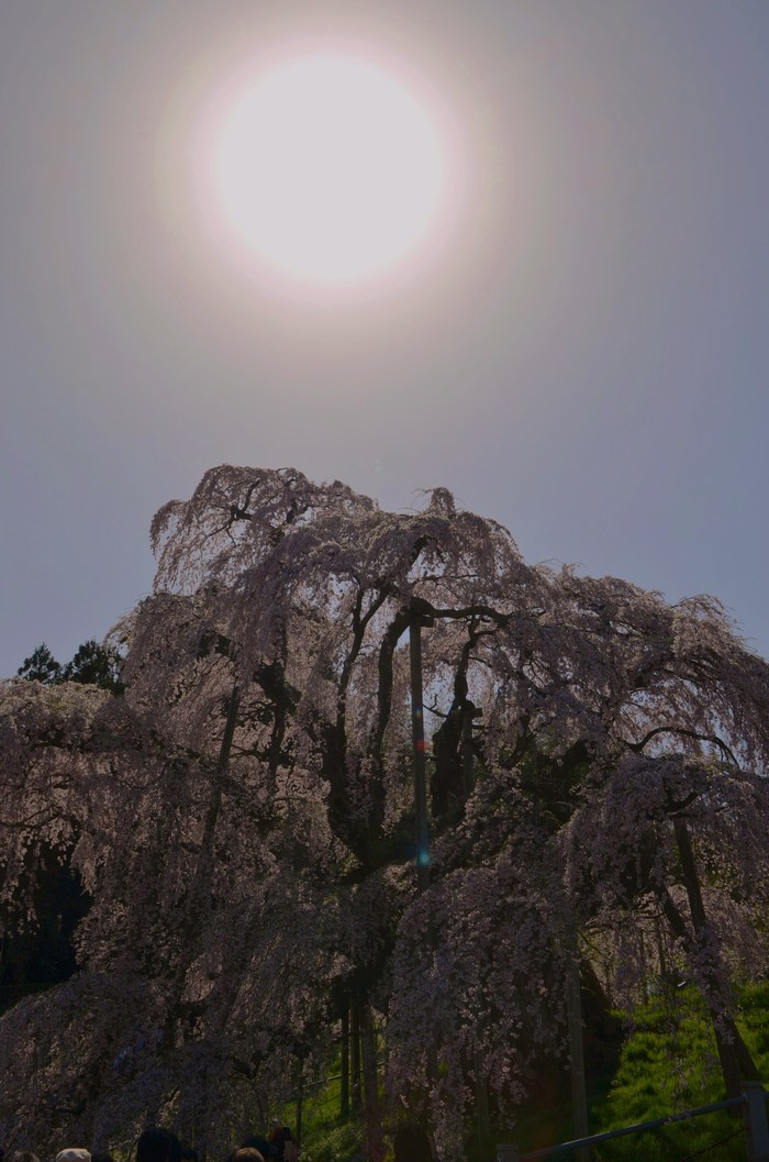 c0202242_2058858.jpg