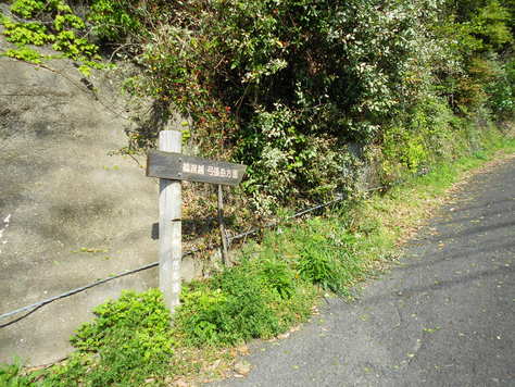 究極の佐世保大縦走　愛宕山～赤崎岳～弓張岳～将冠岳～烏帽子岳～隠居岳～八天岳～国見山６７ｋｍ_a0206345_7585829.jpg