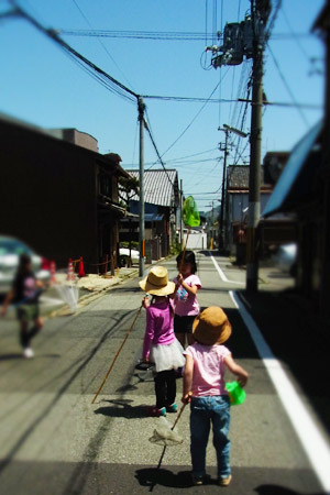 夏日。_d0227246_44557.jpg