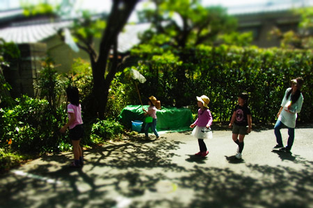 夏日。_d0227246_44589.jpg