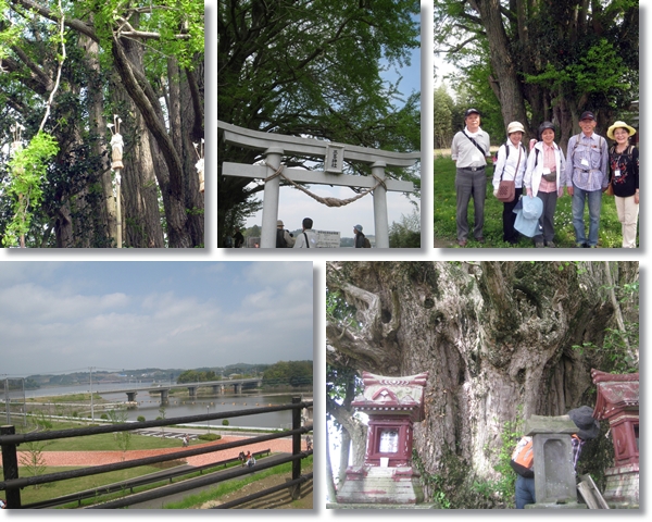 小さな旅…里山の魅力発見_e0228147_1145861.jpg