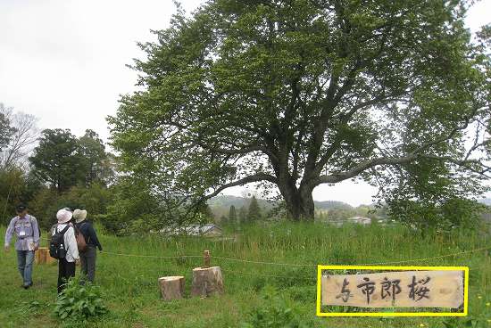 小さな旅…里山の魅力発見_e0228147_13154350.jpg