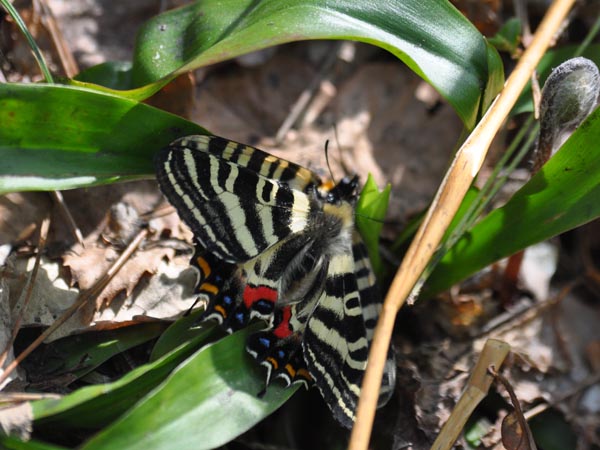 c0045352_9451368.jpg