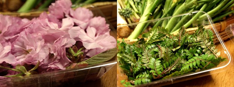 ☆ありがとう山菜レシピ・ウド・蕗・桜☆_c0092953_11474272.jpg