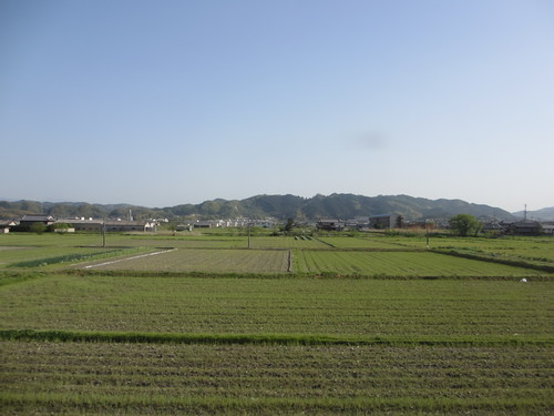 和歌山線_d0202264_12165514.jpg