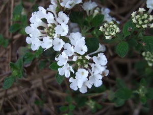 e0225164_8067.jpg