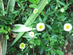 e0225164_82592.jpg