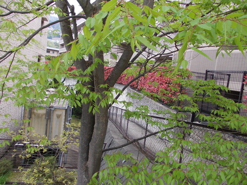f0228664_8495828.jpg
